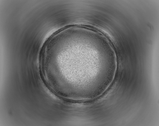 X0000114140990200910221521