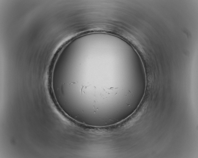 X0000114140991200910221521