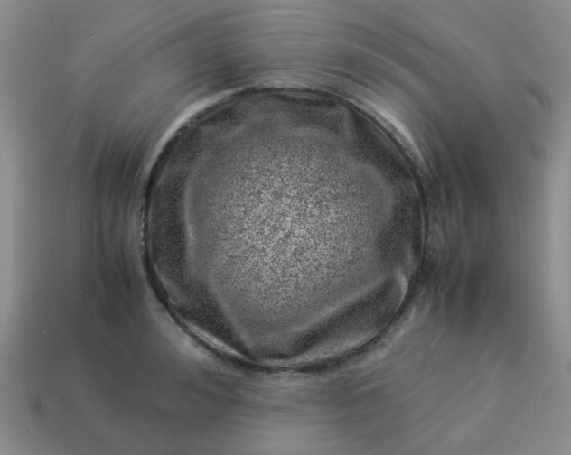 X0000114140992200910221521