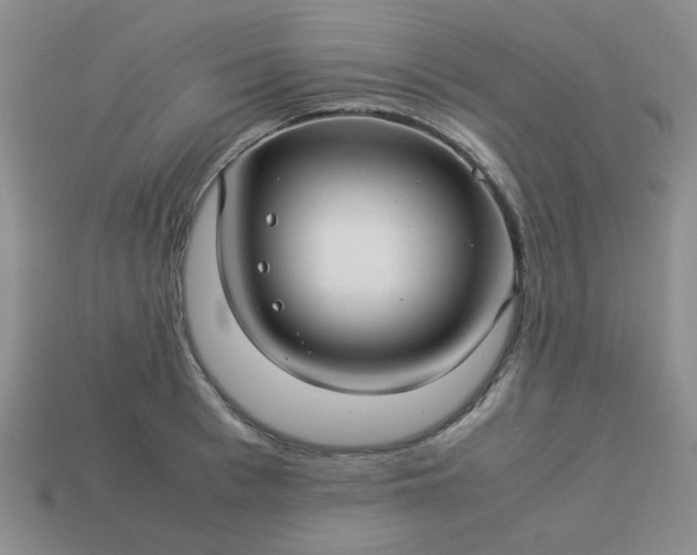 X0000114140993200910221521