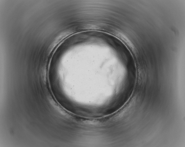 X0000114140994200910221521