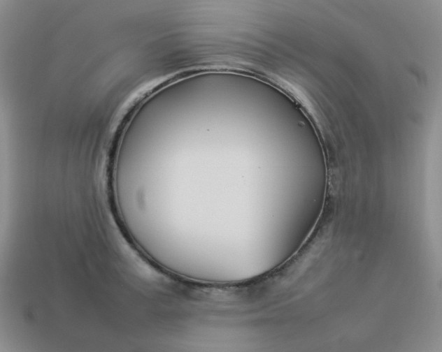 X0000114140995200910221521