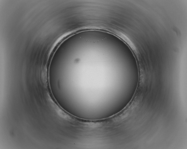 X0000114140996200910221521