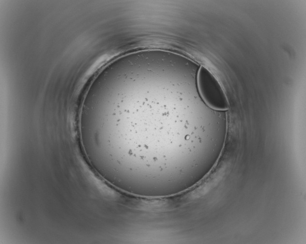 X0000114140997200910221521