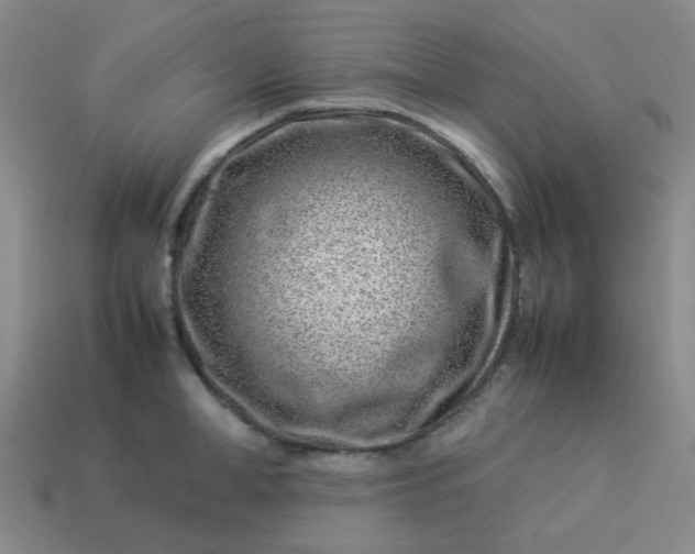 X0000114140998200910221521