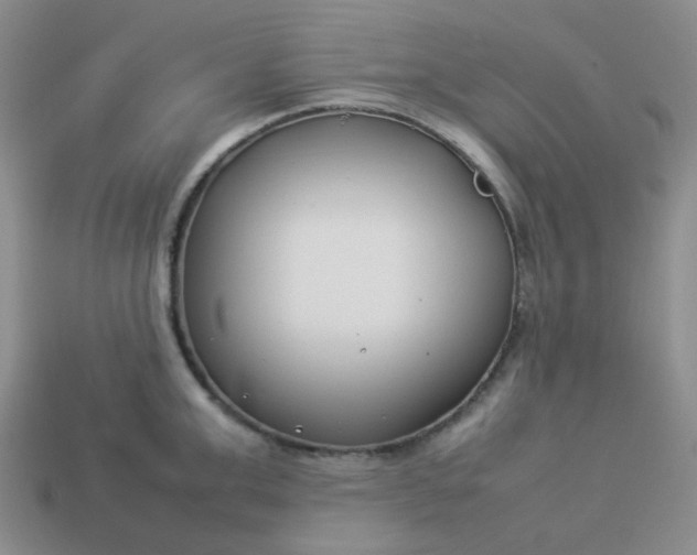 X0000114140999200910221521