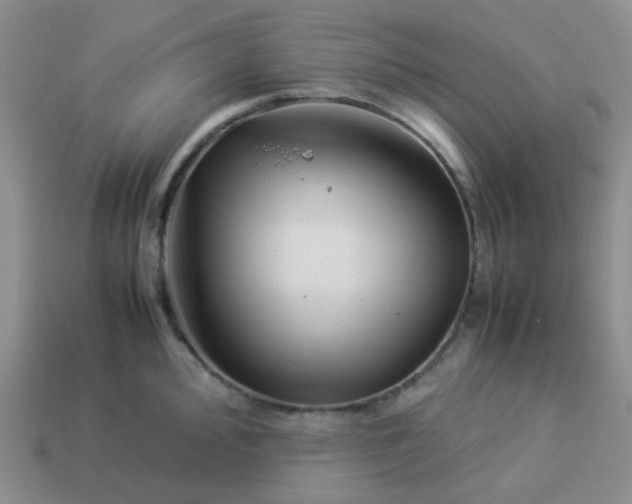 X0000114141000200910221521