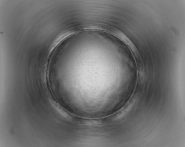 X0000114141002200910221521