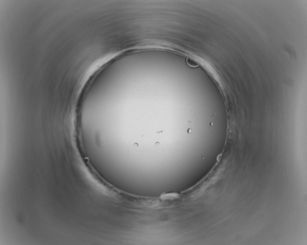 X0000114141003200910221521