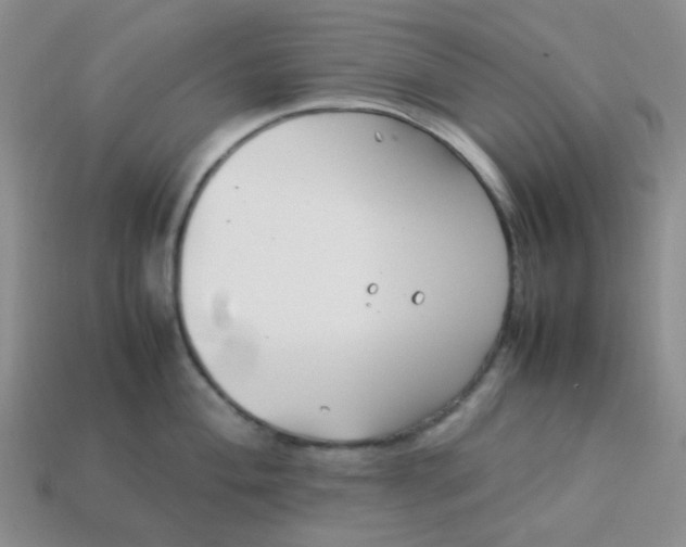 X0000114141004200910221521