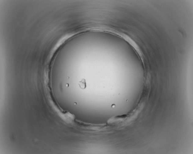 X0000114141005200910221521