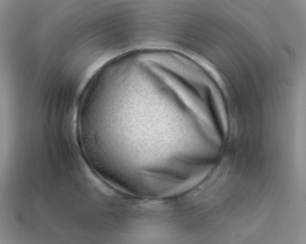 X0000114141006200910221521