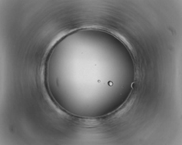 X0000114141007200910221521