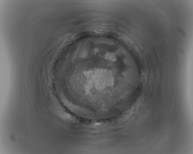 X0000114141009200910221520