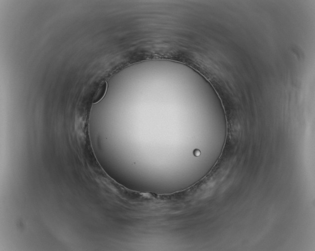 X0000114141010200910221520