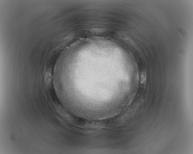 X0000114141011200910221520