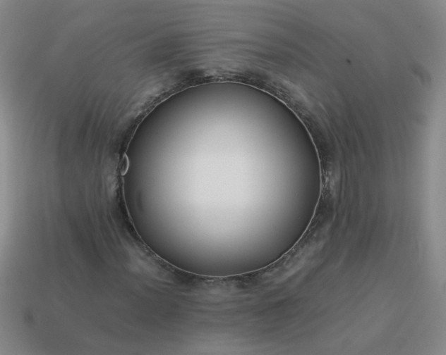 X0000114141012200910221520