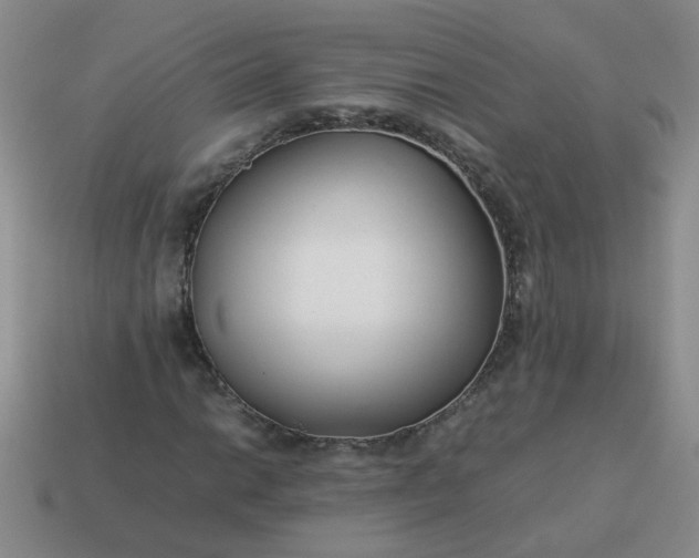 X0000114141014200910221521