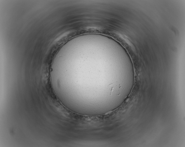 X0000114141015200910221521