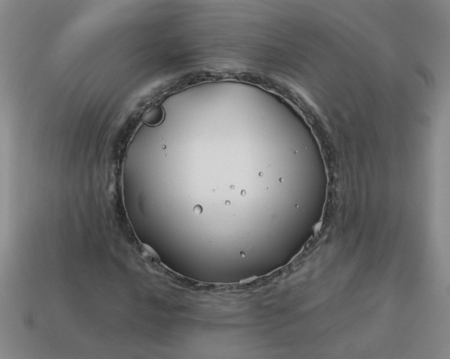 X0000114141016200910221521