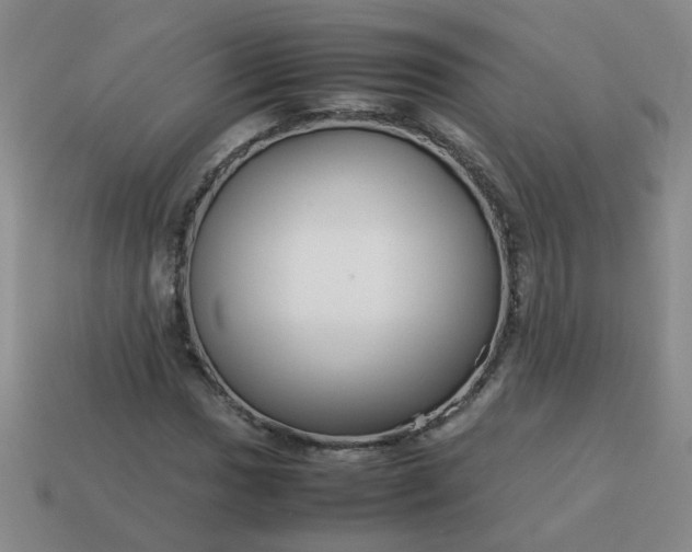 X0000114141017200910221521