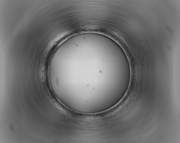 X0000114141018200910221521