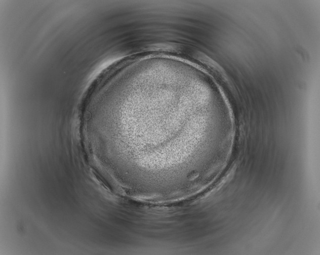 X0000114141019200910221521