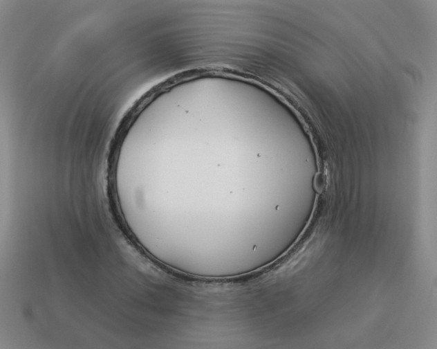 X0000114141020200910221521