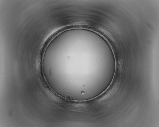 X0000114141021200910221521