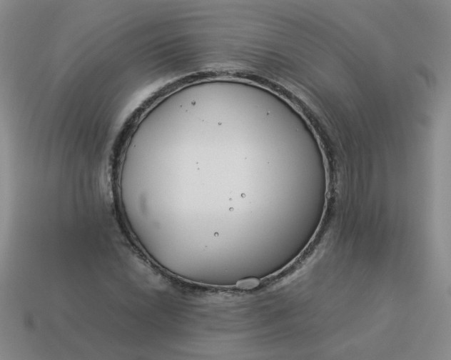 X0000114141022200910221521