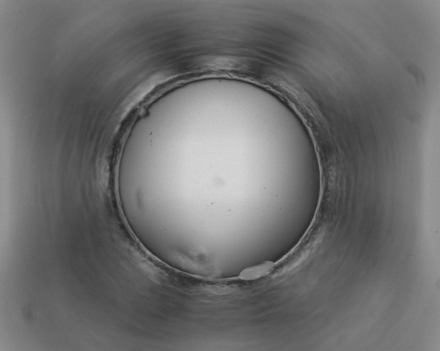 X0000114141023200910221521