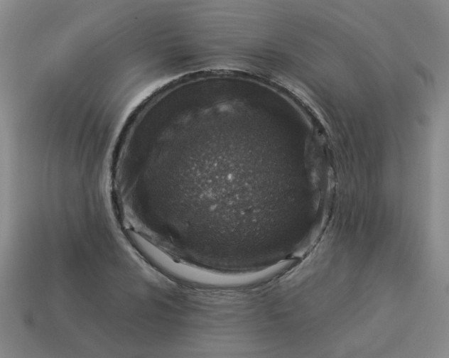 X0000114141024200910221521