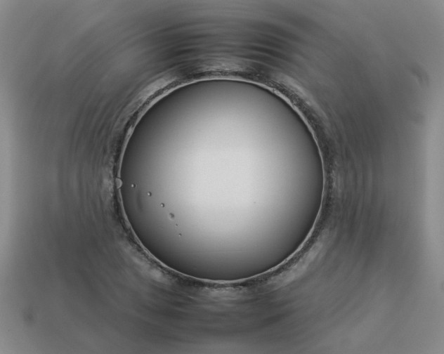 X0000114141025200910221521