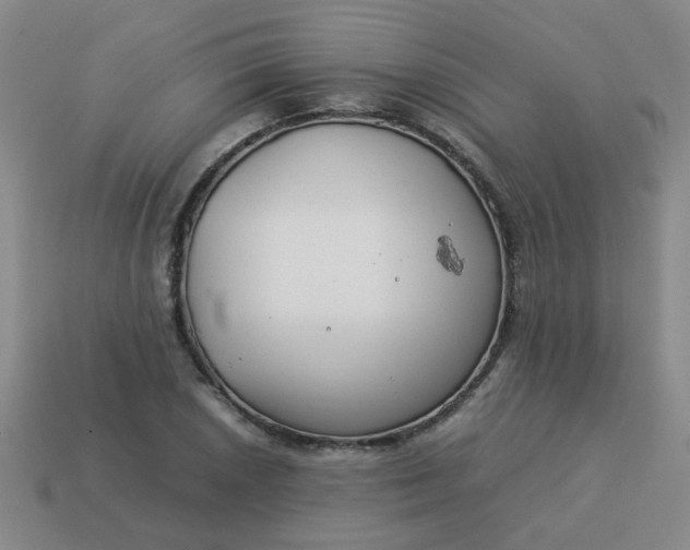 X0000114141026200910221521