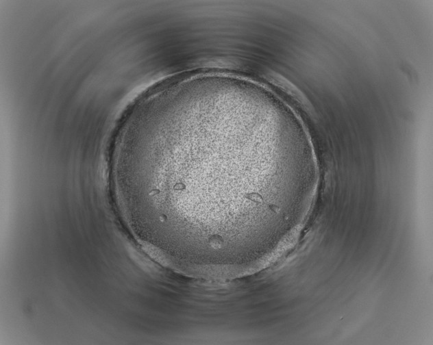 X0000114141027200910221521