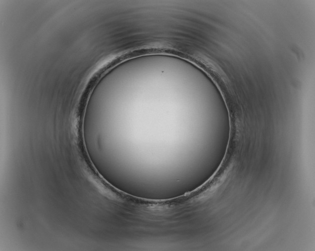 X0000114141029200910221521