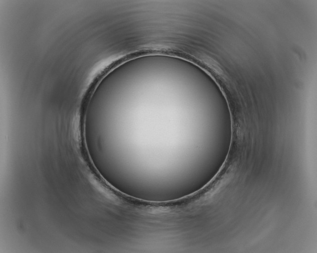 X0000114141030200910221521