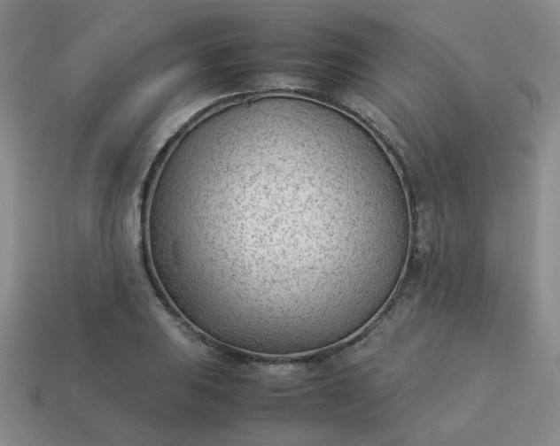 X0000114141031200910221521