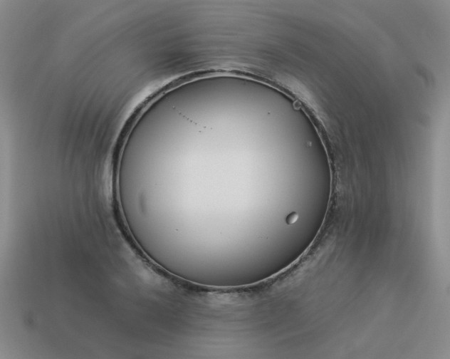 X0000114141032200910221521