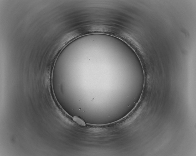 X0000114141033200910221521