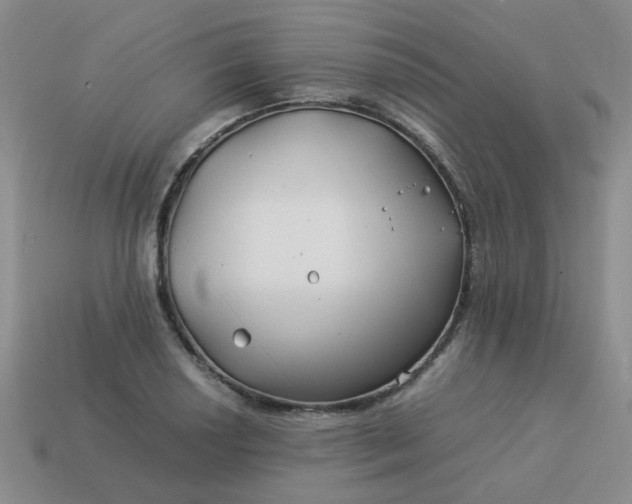 X0000114141034200910221521