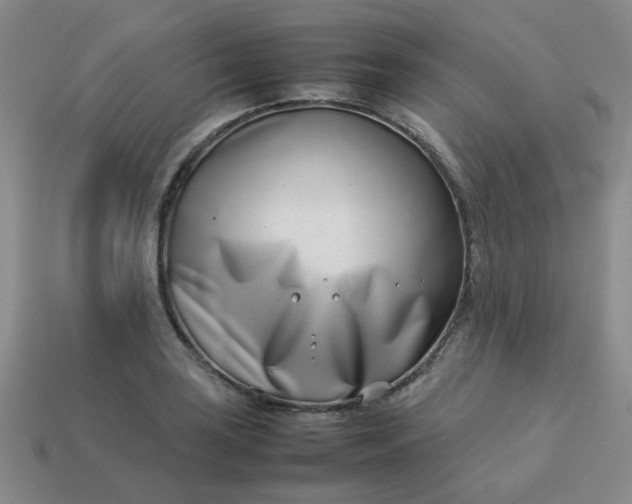 X0000114141035200910221521