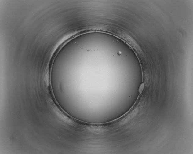 X0000114141036200910221521