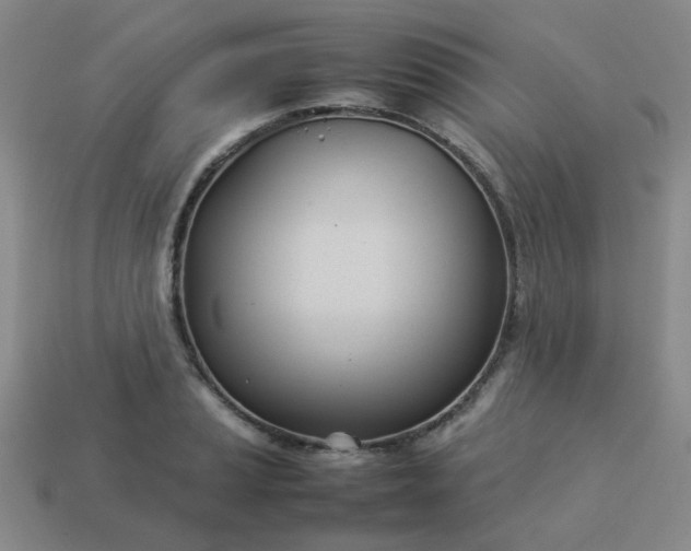 X0000114141037200910221521