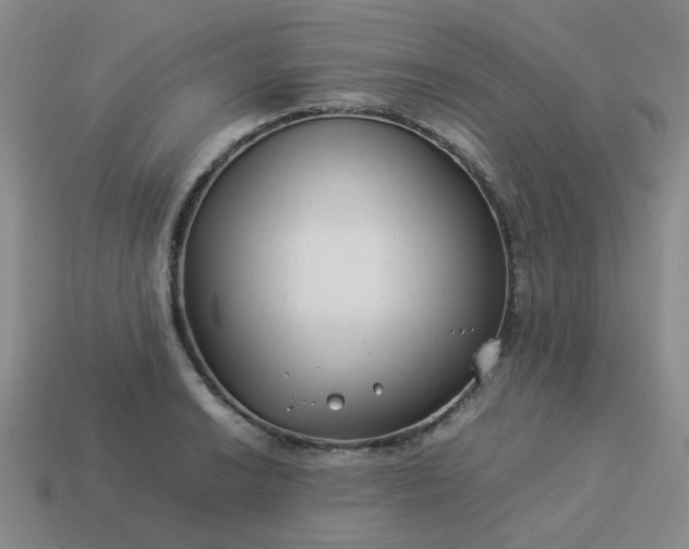 X0000114141038200910221521