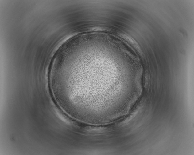 X0000114141039200910221521