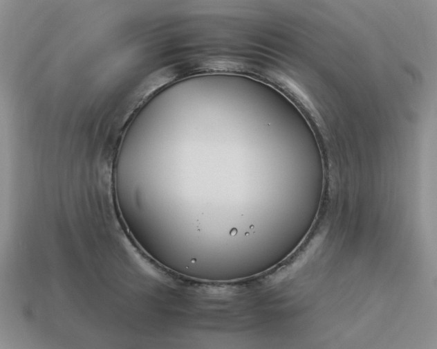 X0000114141041200910221521