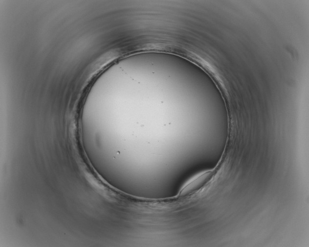 X0000114141042200910221521