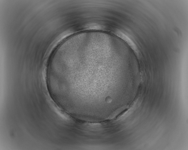 X0000114141043200910221521