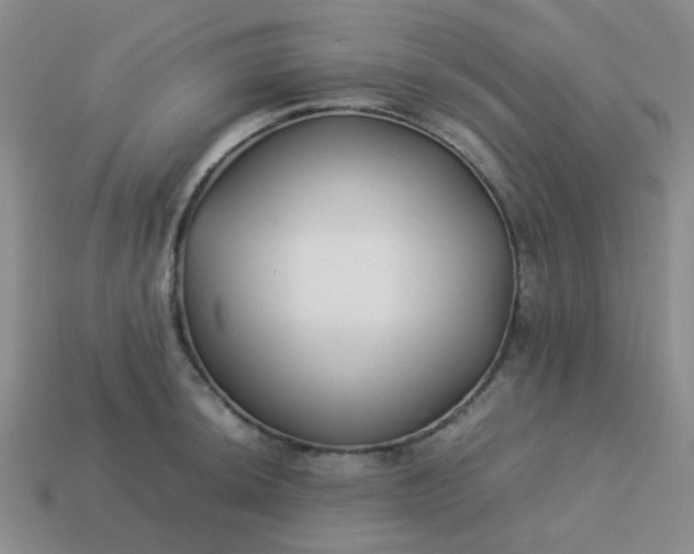 X0000114141044200910221521